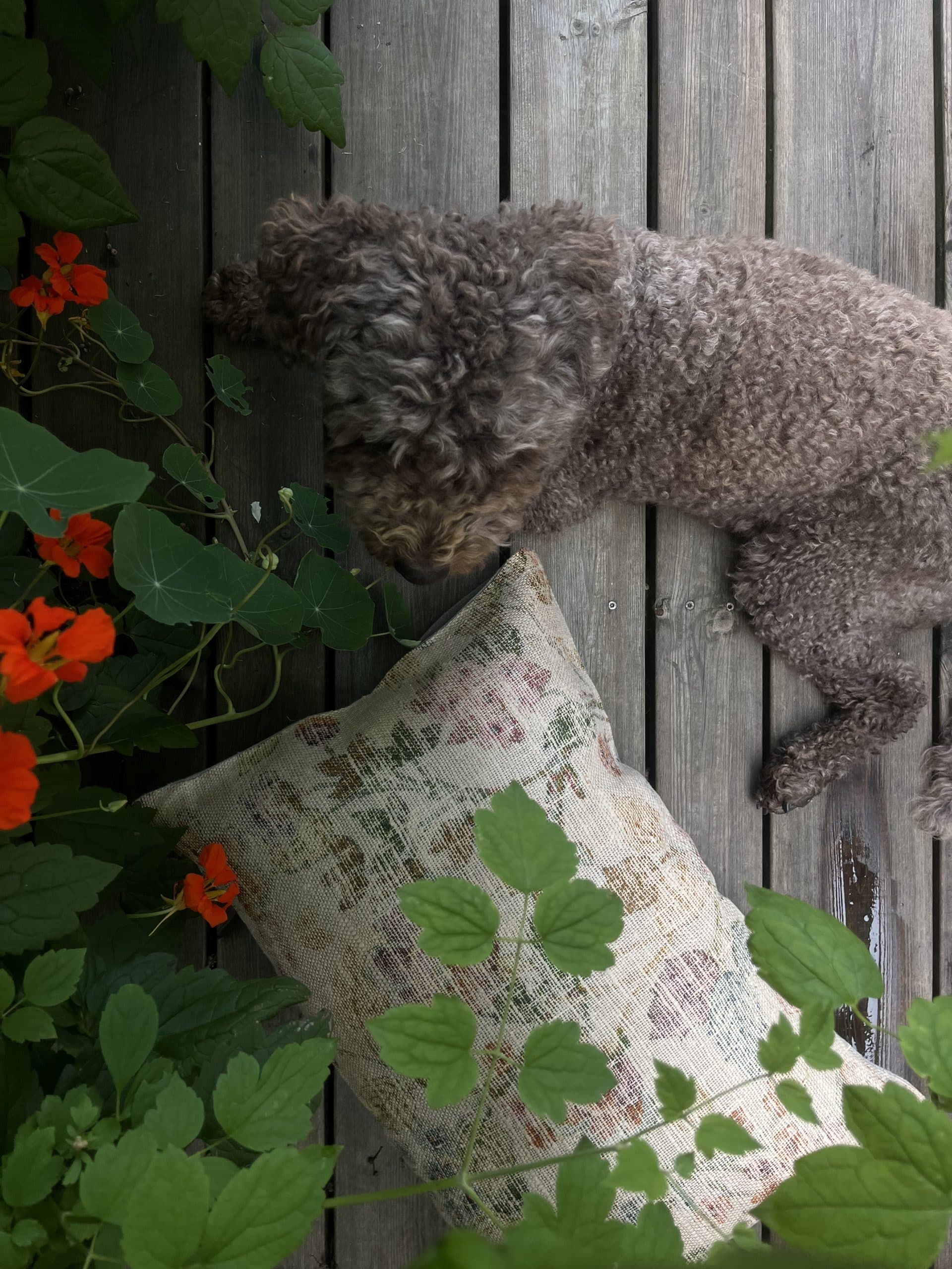 Vintage kudde nr.7 - Bild 4